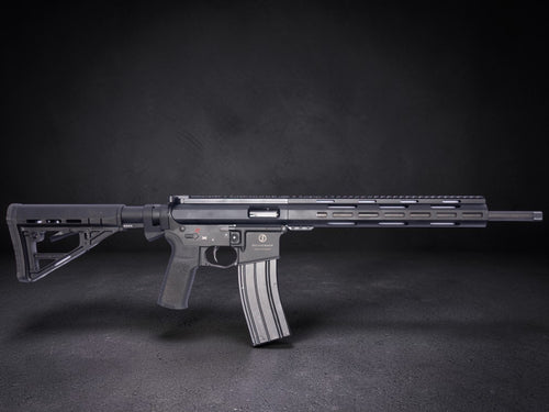 AR15 .22 lr