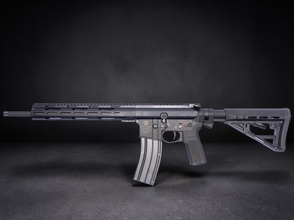 AR15 .22 lr