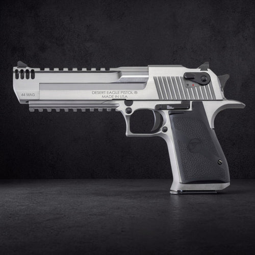 Magnum Research Desert Eagle XIX 6" IMB Stainless Steel
