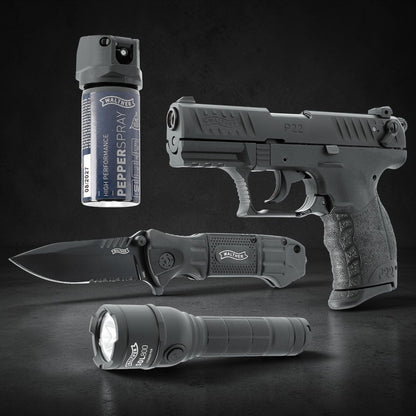 Walther P22Q R2D-Kit